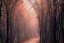 PG：来看短道速滑世锦赛，带点啥回家？.