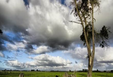 PG：辽宁116-90山东收官战锁定第四，赵继伟12+12，威尔斯24+6+7.