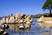 PG：来看短道速滑世锦赛，带点啥回家？.